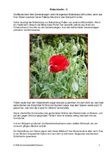 Klatschmohn-2.pdf